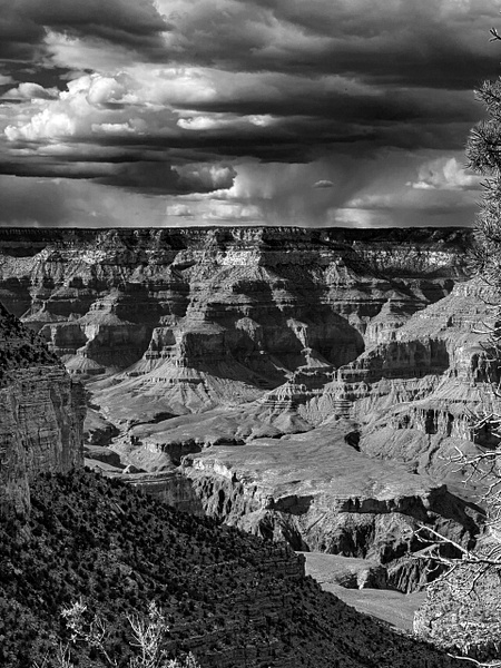 B &amp; W 02 - 1NEW__BLACK &amp; WHITE - Daniel Royer Photography