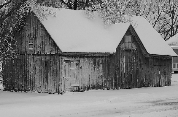 B &amp; W 12 - 1NEW__BLACK &amp; WHITE - Daniel Royer Photography
