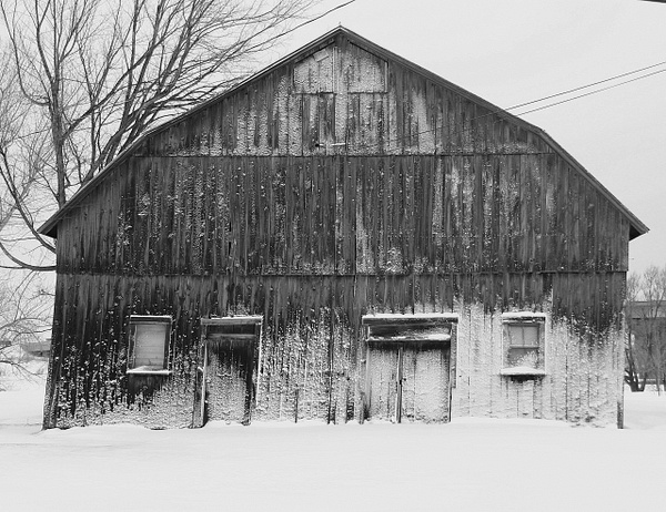 B &amp; W 11 - 1NEW__BLACK &amp; WHITE - Daniel Royer Photography
