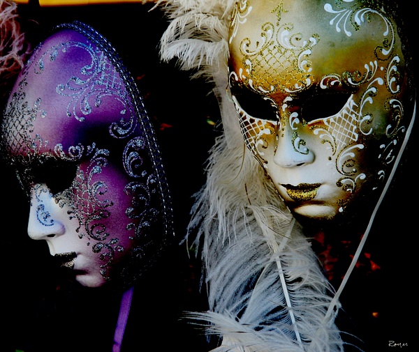 Design 02 - Design - Daniel Royer Photography