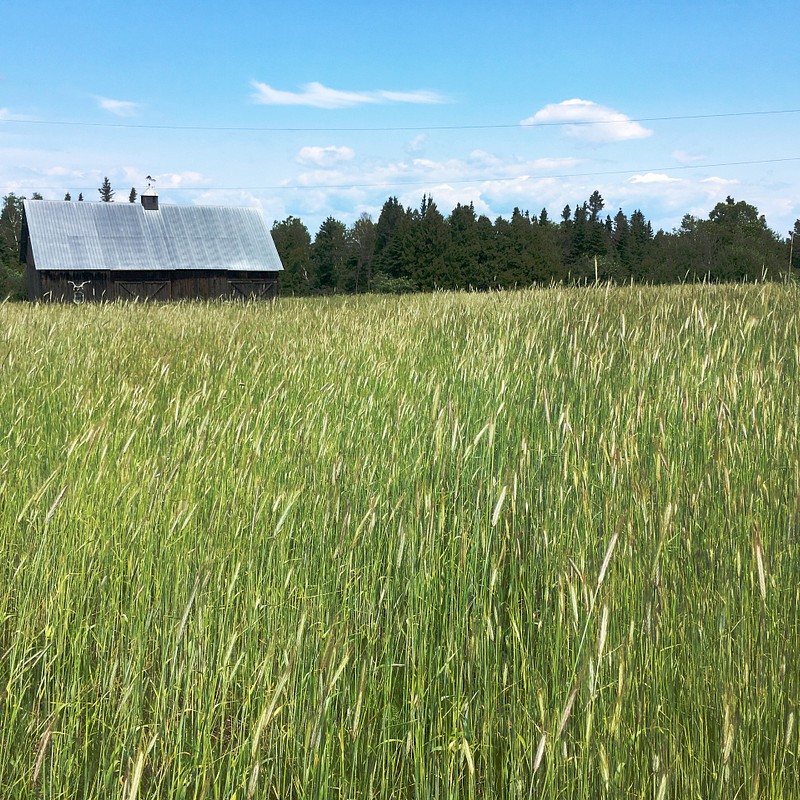 Pastoral