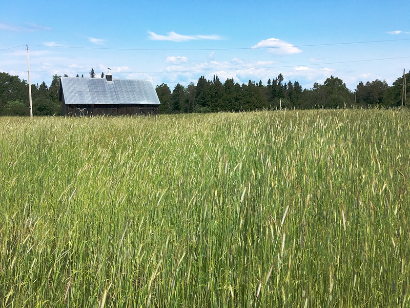 Pastoral
