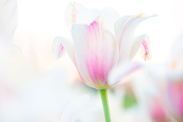 6J6A9528 - fun - Paul Kober Photography