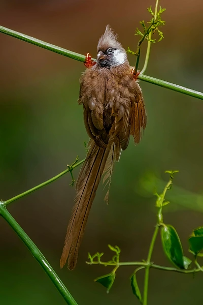 Michael Weinman Photography