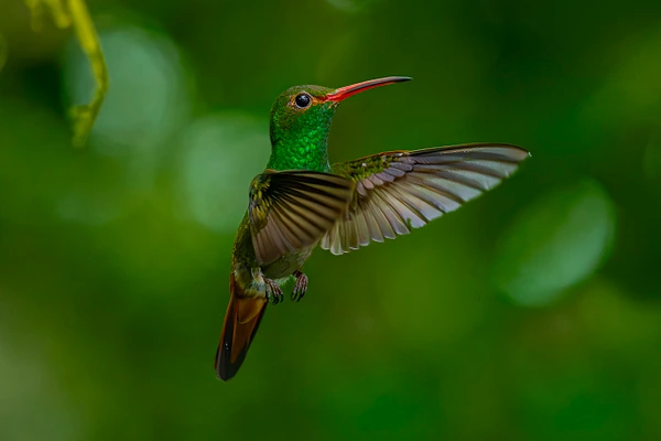 Michael Weinman Photography