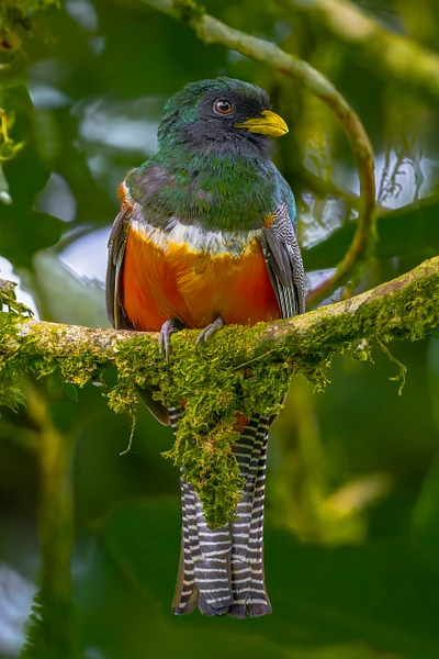 Michael Weinman Photography