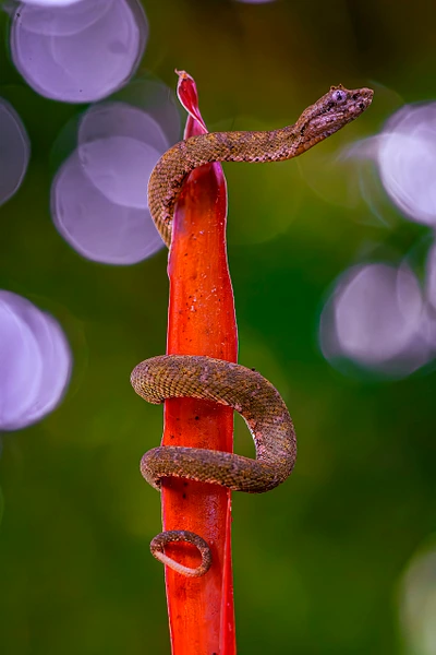 Michael Weinman Photography