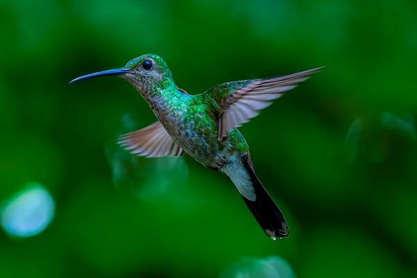 Michael Weinman Photography
