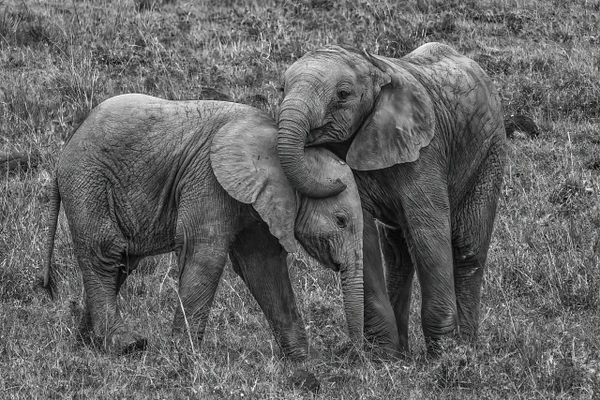 Michael Weinman Photography