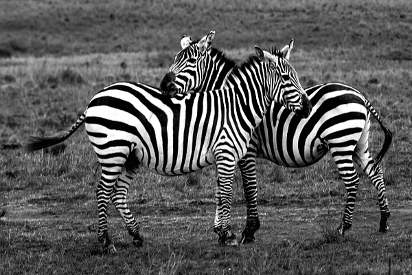 Michael Weinman Photography