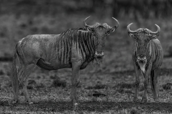 Michael Weinman Photography