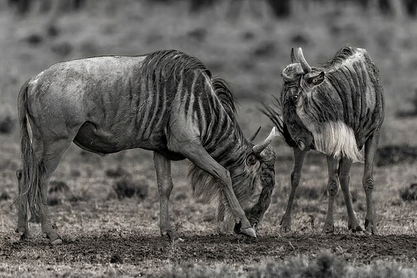 Michael Weinman Photography
