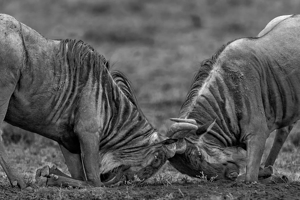 Michael Weinman Photography