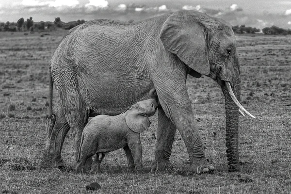 Michael Weinman Photography