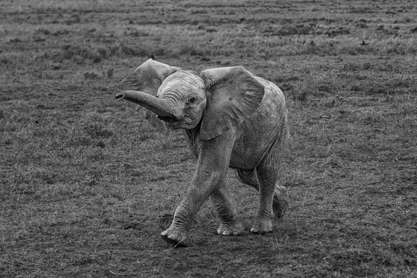 Michael Weinman Photography