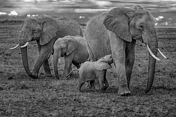 Michael Weinman Photography