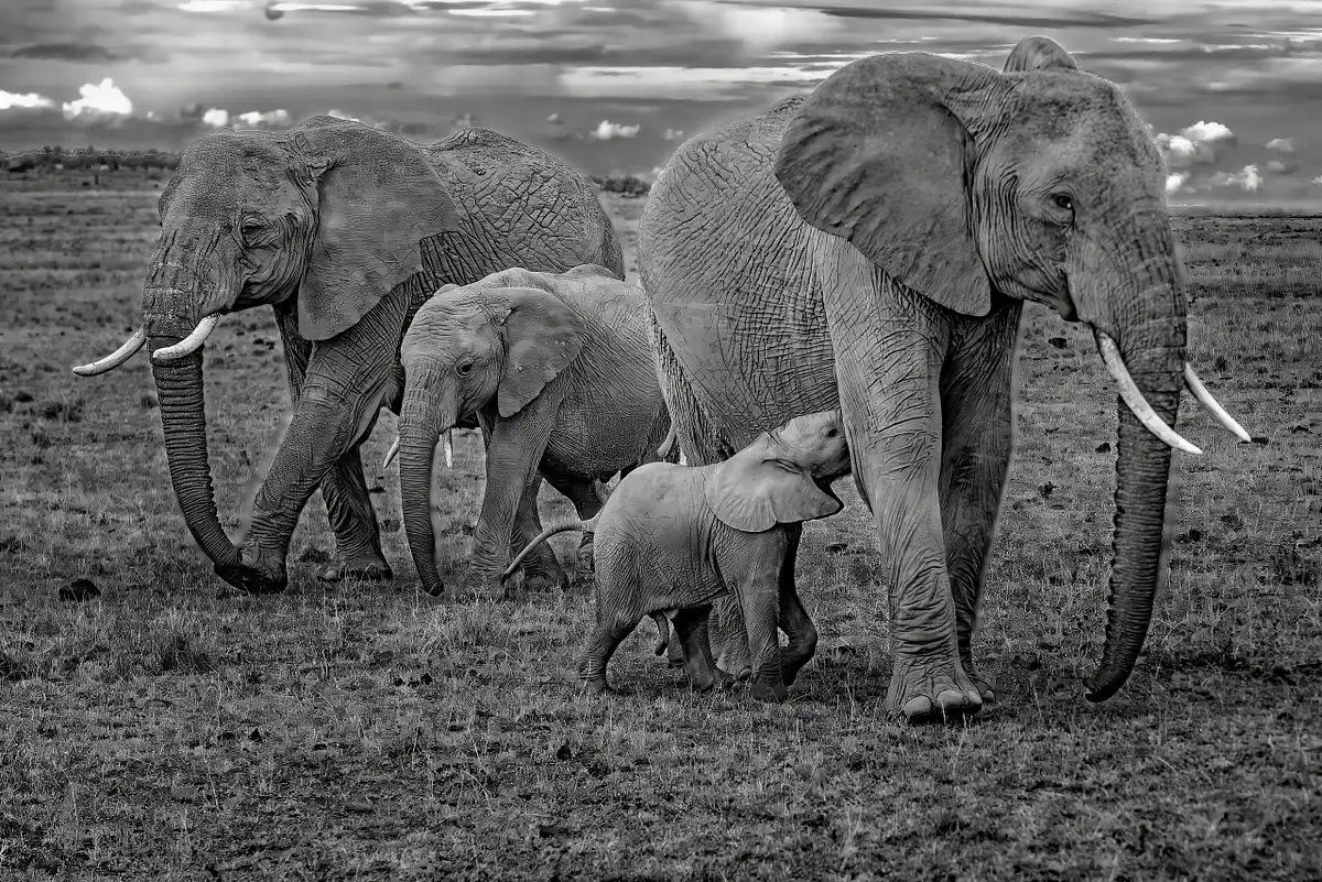 Michael Weinman Photography