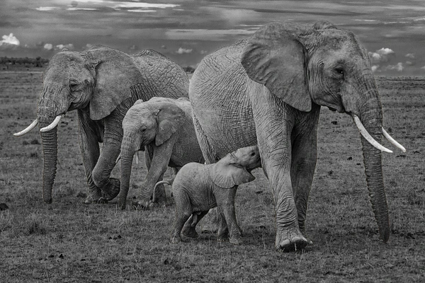 Michael Weinman Photography
