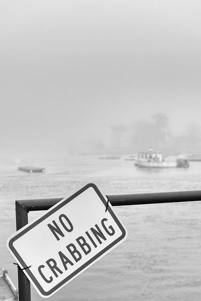No Crabbing - Website intro - Jim Rothenberg