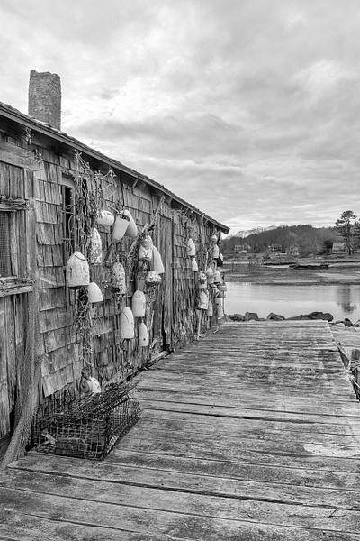 Cape Neddick Lobster Pound - Website intro - Jim Rothenberg