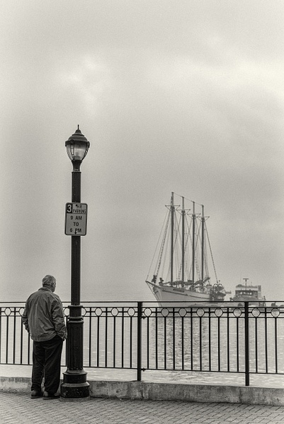 Enjoying the Morning View-Bar Harbor - Maine in Black in White - Jim Rothenberg