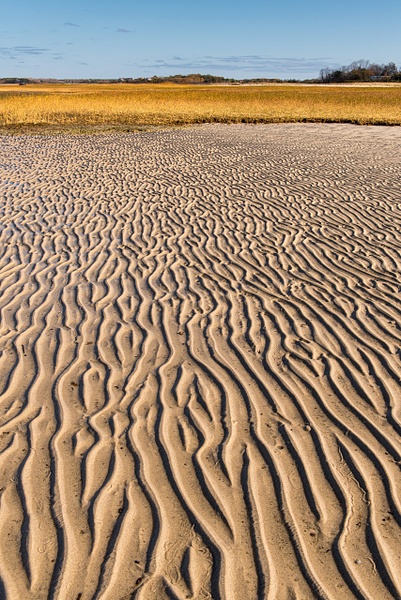 Skaket Beach Low Tide - Website intro - Jim Rothenberg