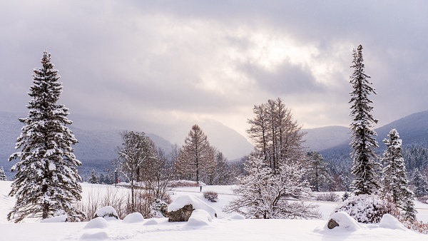 Welcome, Winter - Winter in New England - Jim Rothenberg