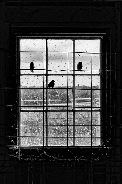 FARM Institute Window-Katama - Black and White - Jim Rothenberg