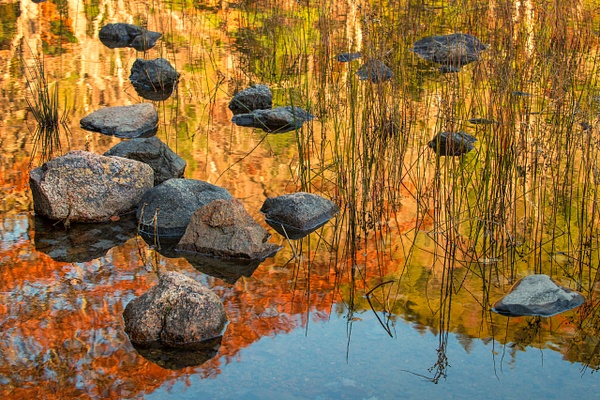 Bubble Pond Morning Reflections - Acadia/Bar Harbor Region - Jim Rothenberg
