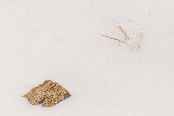 Winter Portrait-Laudholm Farm - Winter in New England - Jim Rothenberg
