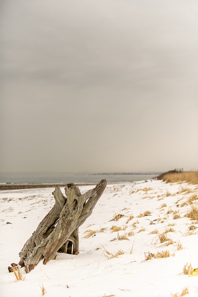 Parson's Beach Winter - Winter in New England - Jim Rothenberg
