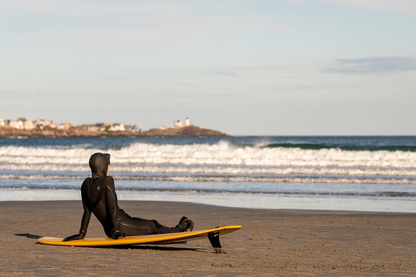 Sitting One Out - Website intro - Jim Rothenberg