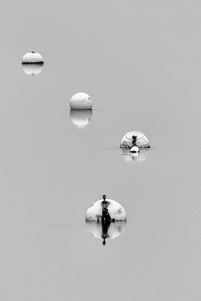 Buoys-York River - Maine in Black in White - Jim Rothenberg