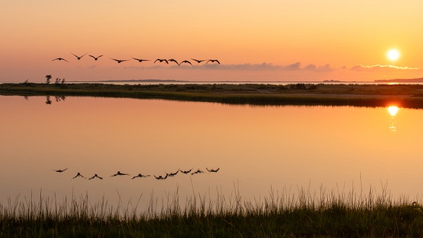 Morning Flight-Edgartown, MA - Martha's Vineyard - Jim Rothenberg