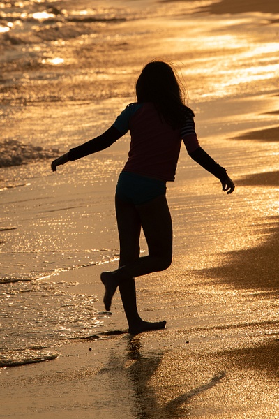 Summer Silhouette - Website intro - Jim Rothenberg