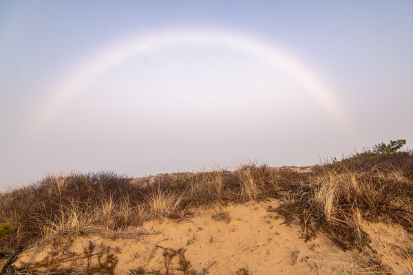 Fogow-Marconi Beach Overlook-Cape Cod - Coastal/Nautical - Jim Rothenberg