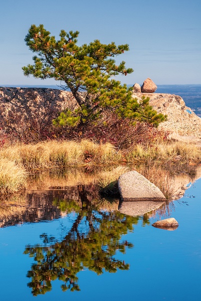 Mount Champlain Reflection - Acadia/Bar Harbor Region - Jim Rothenberg