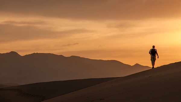 Dawn Dune Stroll - Website intro - Jim Rothenberg