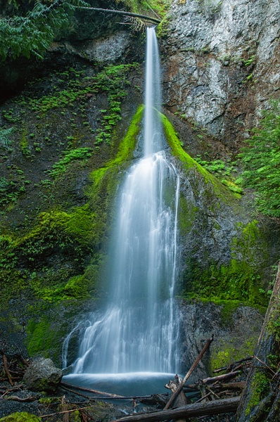 Marymere Falls-Olympic National Park - Website intro - Jim Rothenberg