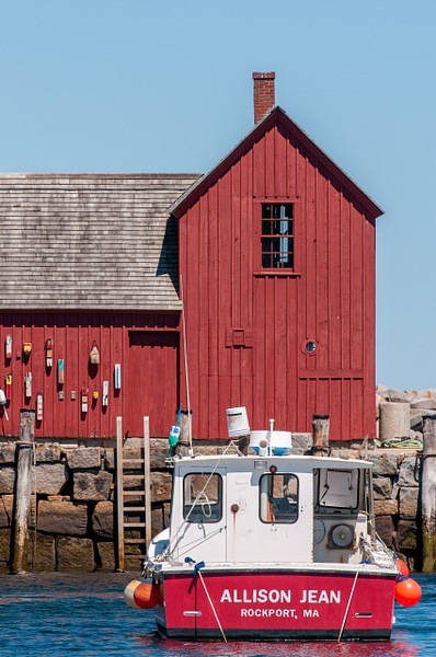 Rockport Reds - Coastal/Nautical - Jim Rothenberg