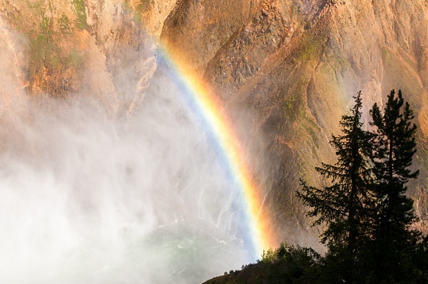 Rainbow-Grand Canyon of the Yellowstone - Nature - Jim Rothenberg