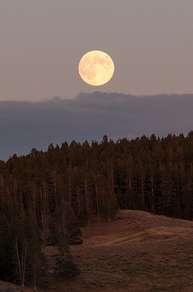 Yellowstone Moon - Nature - Jim Rothenberg