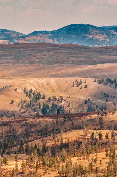 Valley-Yellowstone - Website intro - Jim Rothenberg