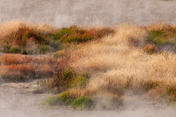 Hot Spring Steam-Yellowstone - Nature - Jim Rothenberg