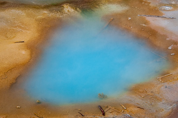 "Blue" - Nature - Jim Rothenberg