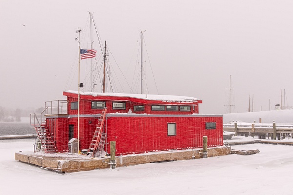 Shock of Red in a Winter Storm-Belfast, ME - Winter in New England - Jim Rothenberg