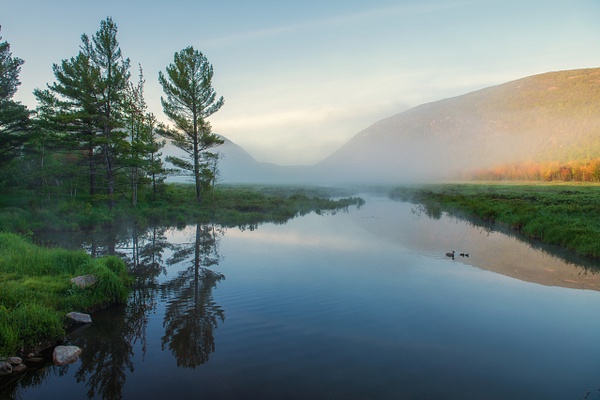 Early June Morning-Acadia - Acadia/Bar Harbor Region - Jim Rothenberg