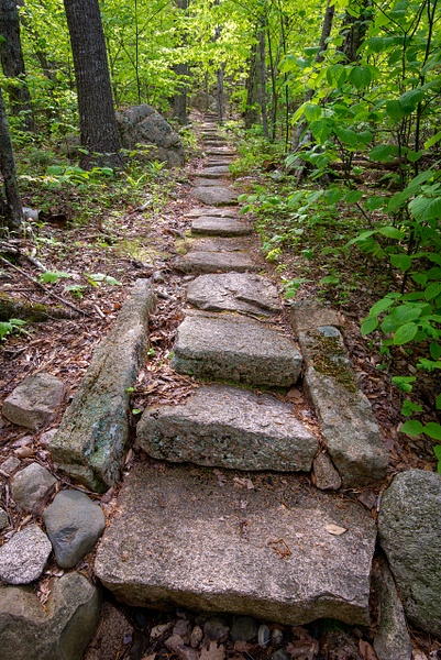 A Way Through the Woods - Acadia/Bar Harbor Region - Jim Rothenberg