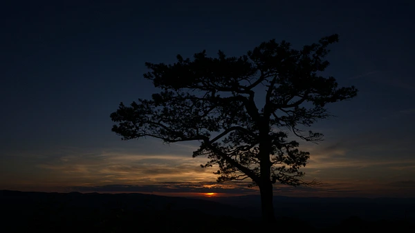 Konrad Michels Photography