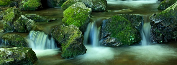 Konrad Michels Photography